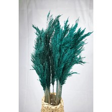 Alyones Şoklanmış Renkli Pampas Demeti 10'lu Set