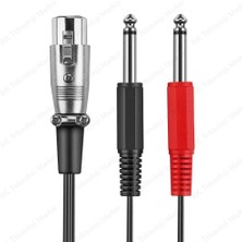 BK Teknoloji 3-Pin Xlr Dişi To 2 x 1/4 ''6.35MM Mono Erkek Trs Y Kablo - 30CM