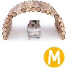 Alyones (30 cm x 12 cm) Hamster Gerbil Fare Sıçan Gine Domuzu Veya Diğer Küçük Hayvanlar Için Köprü Merdiveni