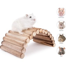 Alyones (20 cm x 10 cm ) Hamster Gerbil Fare Sıçan Gine Domuzu Veya Diğer Küçük Hayvanlar Için Köprü Merdiveni