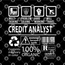 Fizello Credıt Analyst Multıtaskıng Wıll Travel Job Kupa