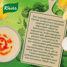 Knorr Hazır Çorba Tavuk Suyuna Cennet 4 Kişilik 76 G X4 Adet