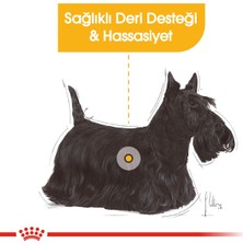 Royal Canın Ccn Dermacomfort Loaf 85 gr