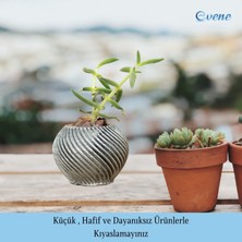 Evene Mini Çiçek Saksı Küçük Sukulent Kaktüs Saksısı Ince Çizgili Spiral Model