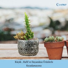 Evene Mini Çiçek Saksı Küçük Sukulent Kaktüs Saksısı Altıgen Desenli Model