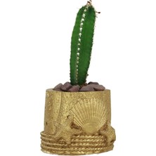 Evene Mini Çiçek Saksı Küçük Sukulent Kaktüs Saksısı Deniz Yıldızlı Kabuklu Model