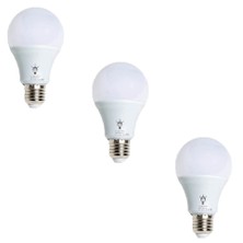 Aynur 3'lü Aynur 9W LED Ampul Beyaz Işık (6500 K)