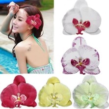 Day 50 Adet Karışık Renk Orkide Tohumu + 10 Adet Hollanda Gülü Tohumu