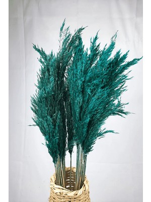 Alyones Şoklanmış Renkli Pampas Demeti 10'lu Set