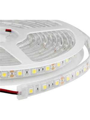 Axlight Beyaz Yapışkanlı 3 Çipli Şerit LED