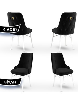 Canisa Concept Pare Serisi, Sandalye, 6 Adet Sandalye, Beyaz Gürgen Ayak