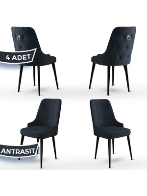 Canisa Concept Enoa Serisi , 4 Adet Sandalye, Siyah Gürgen Ayak
