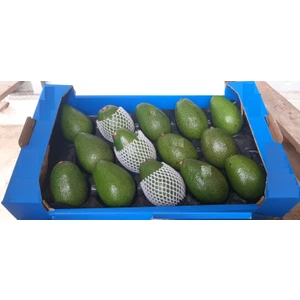 Yalova Tropikal Avokado  1 adet (200 gr üstü)