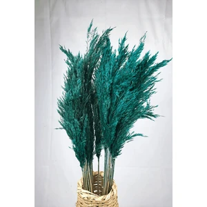 Şoklanmış Renkli Pampas Demeti 10'lu Set