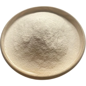 Agar Agar Tozu