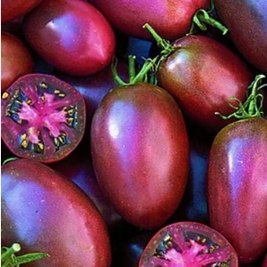 10 Adet Doğal Mor Domates Tohumu + 10 Adet K.renk Gül Çiçek Tohumu