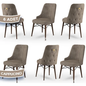 Concept Pare Serisi, Sandalye, 6 Adet Sandalye, Ceviz Gürgen Ayak