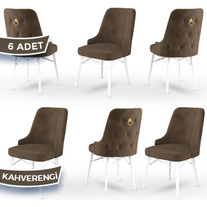 Concept Pare Serisi, Sandalye, 6 Adet Sandalye, Beyaz Gürgen Ayak