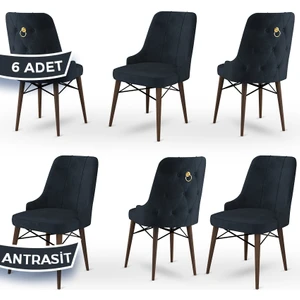 Concept Pare Serisi, Sandalye, 6 Adet Sandalye, Ceviz Gürgen Ayak