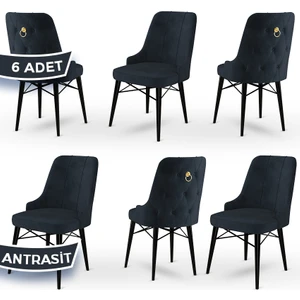 Concept Pare Serisi, Sandalye , 6 Adet Sandalye, Siyah Gürgen Ayak