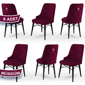 Concept Pare Serisi, Sandalye , 6 Adet Sandalye, Siyah Gürgen Ayak