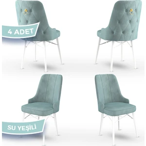 Concept Pare Serisi, Sandalye, 4 Adet Sandalye, Beyaz Gürgen Ayak