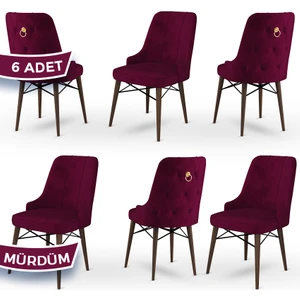 Concept Pare Serisi, Sandalye, 6 Adet Sandalye, Ceviz Gürgen Ayak
