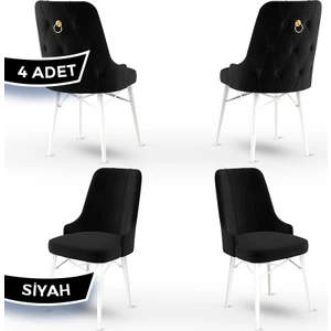 Concept Pare Serisi, Sandalye, 4 Adet Sandalye, Beyaz Gürgen Ayak