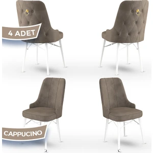 Concept Pare Serisi, Sandalye, 4 Adet Sandalye, Beyaz Gürgen Ayak