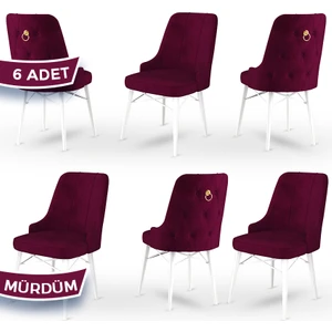 Concept Pare Serisi, Sandalye, 6 Adet Sandalye, Beyaz Gürgen Ayak