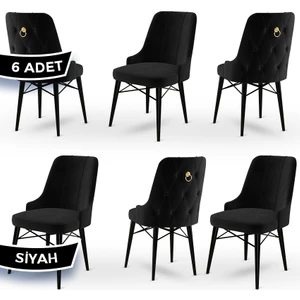 Concept Pare Serisi, Sandalye , 6 Adet Sandalye, Siyah Gürgen Ayak
