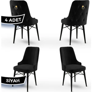 Concept Pare Serisi, Sandalye , 4 Adet Sandalye, Siyah Gürgen Ayak