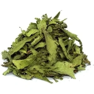 Dökme Bitkiler Stevia / Şeker Otu - 100 gr