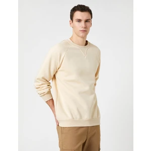 Bisiklet Yaka Sweatshirt Dikiş Detaylı Reglan Kol
