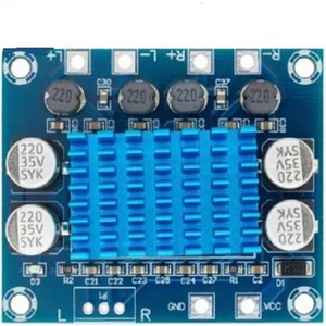 Robo Dünya 2 x 30 Watt TPA3110 Çipli 8-26V Dijital Anfi Devresi Amplifikatör
