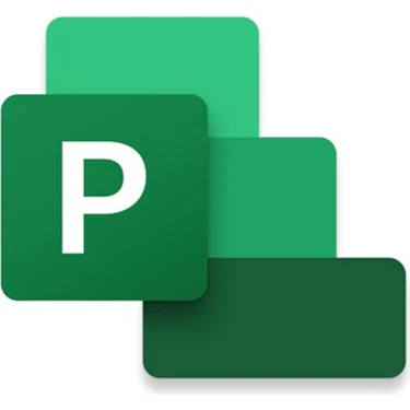 Microsoft Project Professional 2021 - Elektronik