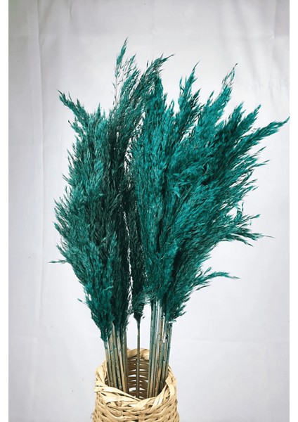 Şoklanmış Renkli Pampas Demeti 10'lu Set