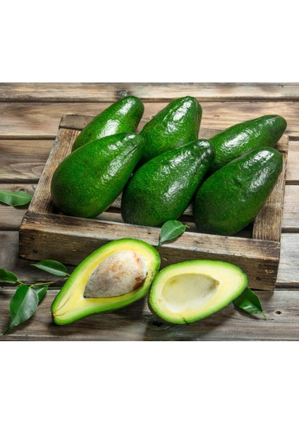 Avokado