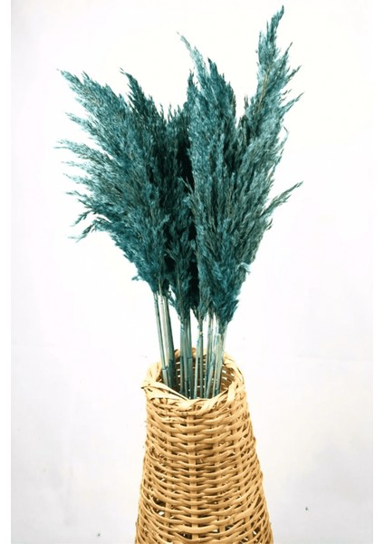 Şoklanmış Renkli Pampas Demeti 10'lu Set