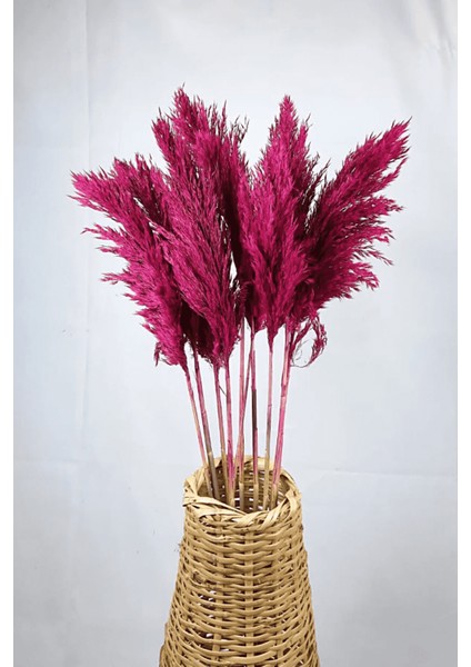 Şoklanmış Renkli Pampas Demeti 10'lu Set