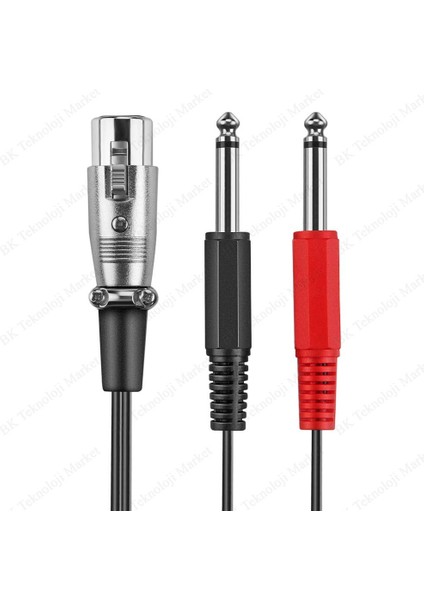 BK Teknoloji 3-Pin Xlr Dişi To 2 x 1/4 ''6.35MM Mono Erkek Trs Y Kablo - 30CM