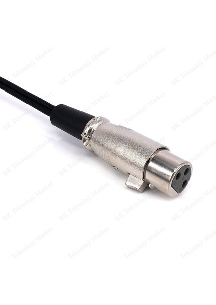 BK Teknoloji 3-Pin Xlr Dişi To 2 x 1/4 ''6.35MM Mono Erkek Trs Y Kablo - 30CM