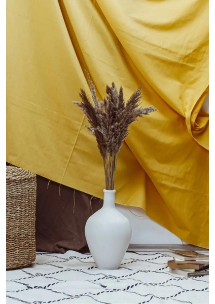 10 Adet Pampas Natural Pampas 100CM