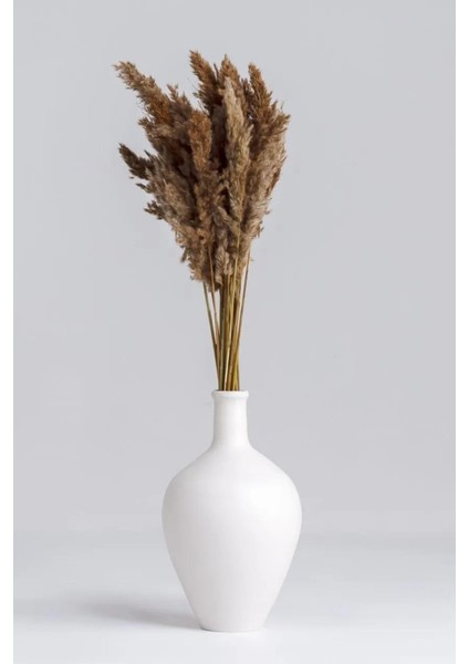 10 Adet Pampas Natural Pampas 100CM