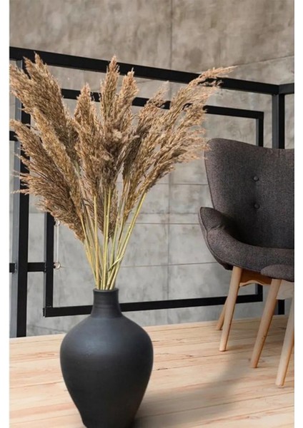 10 Adet Pampas Natural Pampas 100CM