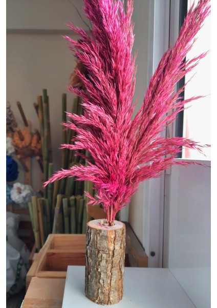 Pembe Dekoratif Doğal Pampaslı Kütük Saksılık, Etkinlik, Düğün & Eğlence Masa Süs & Dekor