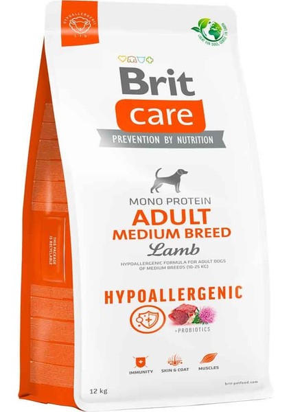 Kuzu Etli Hypoallergenic Köpek Maması 12 kg