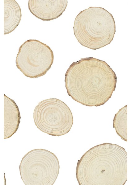 Etkinlik Süsleri (5-8cm, 20 Adet) Doğal Renk Ağaç Kabuğu Ahşap Dilimleri Sanat ve El Sanatları Için fiyatları