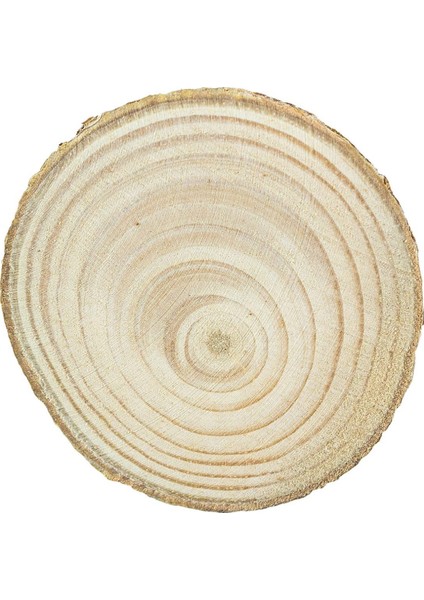 Etkinlik Süsleri (5-8cm, 20 Adet) Doğal Renk Ağaç Kabuğu Ahşap Dilimleri Sanat ve El Sanatları Için fırsatları