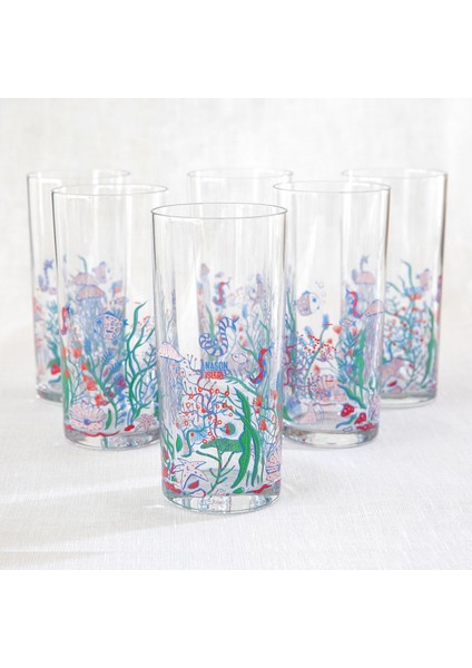 Balık Gözü Rakı Kadehi 6'lı Set
